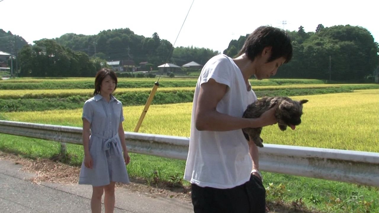 Backdrop image for movie When You Love And When You Are Loved