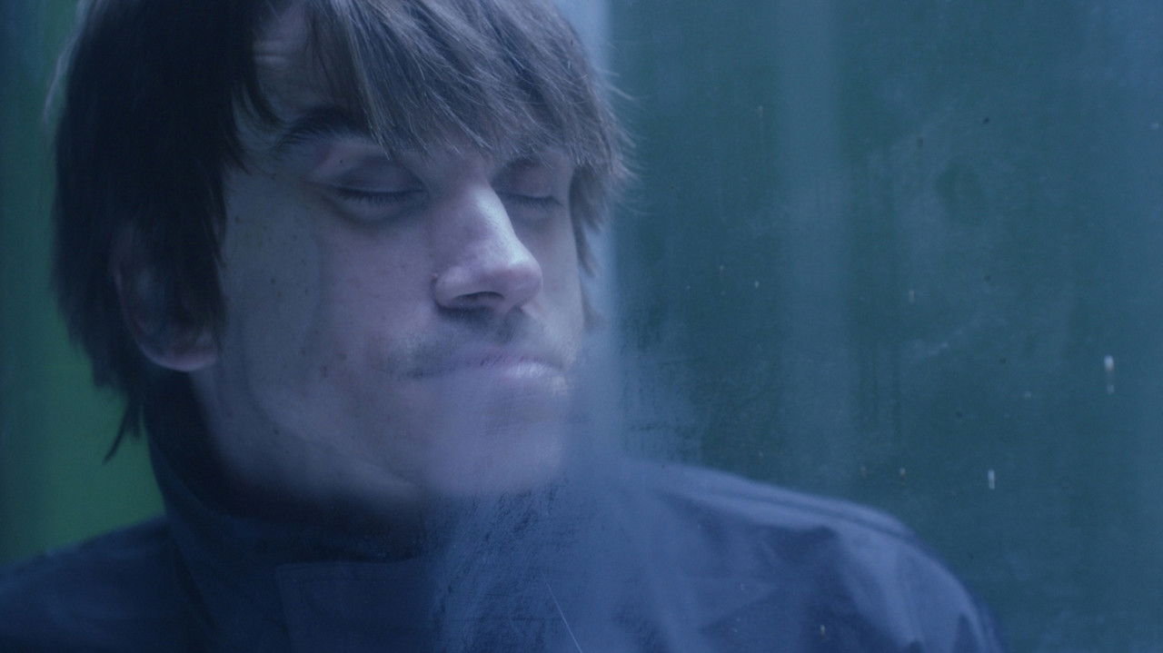 Backdrop image for movie The Parrot