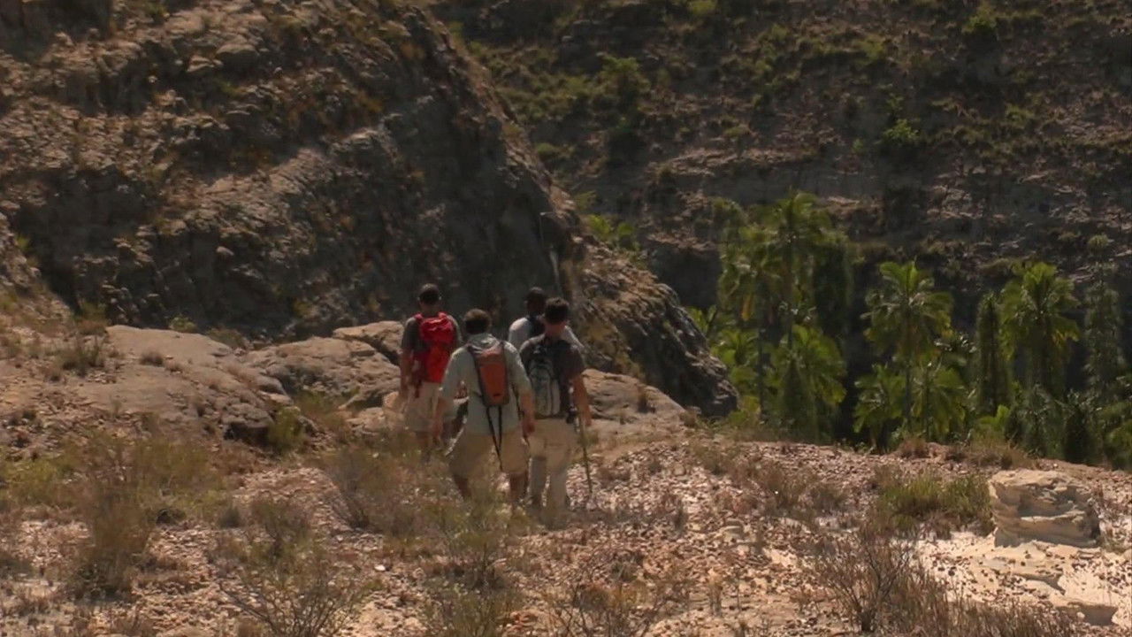 Backdrop image for movie Madagascar: The Lost Makay