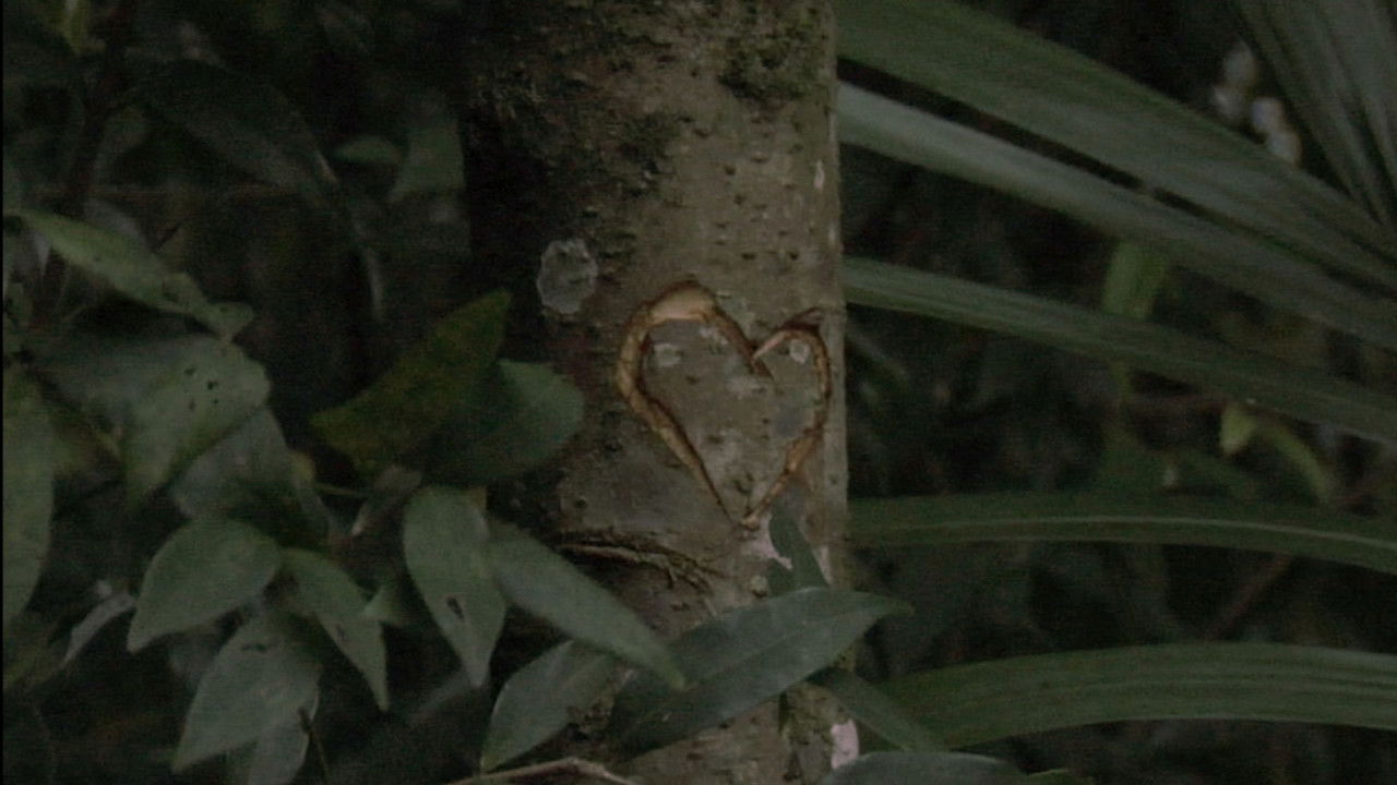 Backdrop image for movie Sofia Was