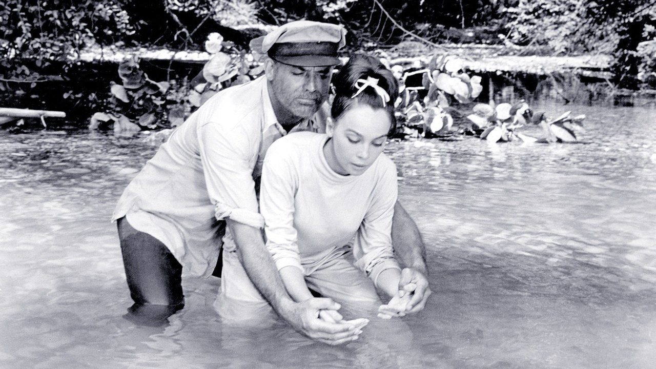 Backdrop image for movie Father Goose