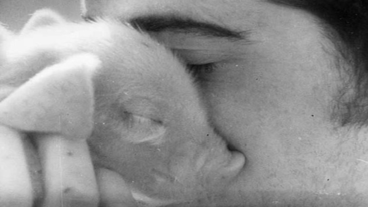 Backdrop image for movie The Pig & I: A Love Story