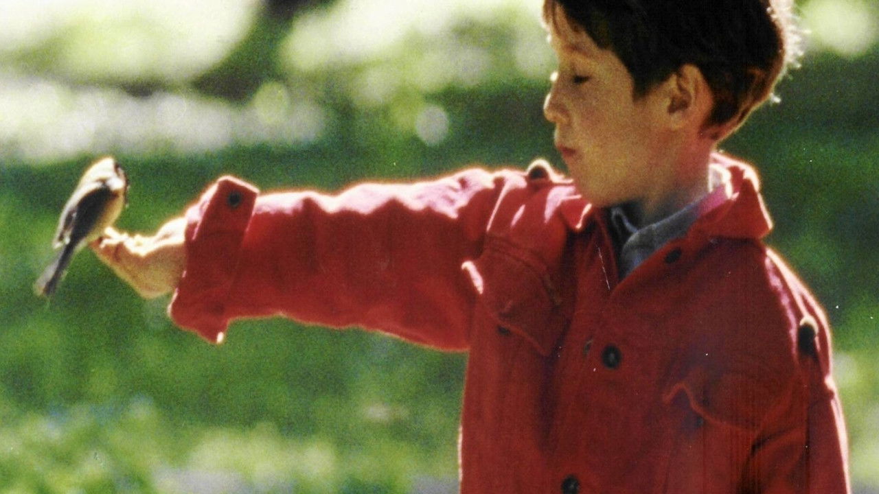 Backdrop image for movie Anything Can Happen