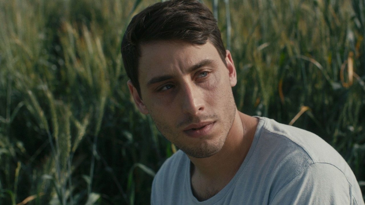Backdrop image for movie The Boy