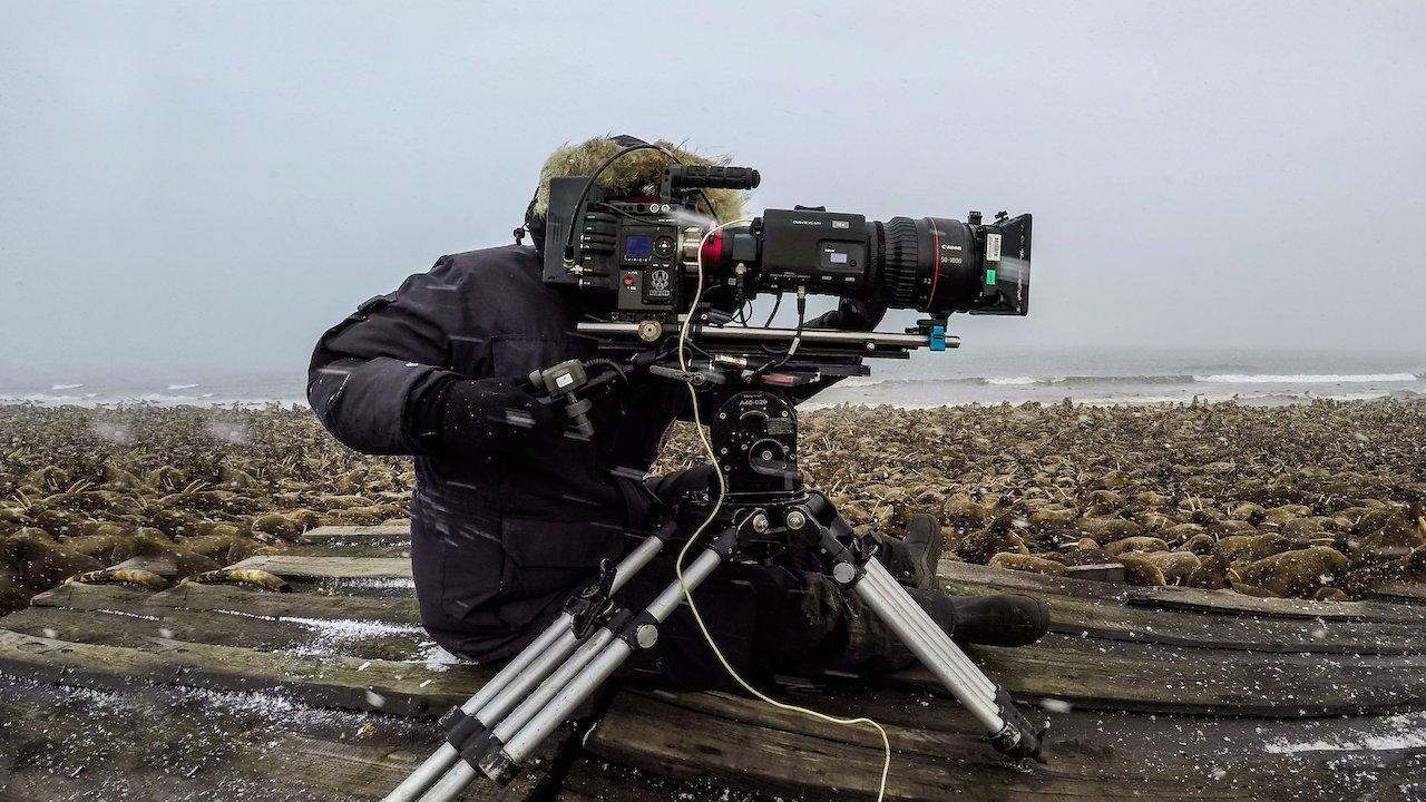 Backdrop image for movie Our Planet: Behind the Scenes