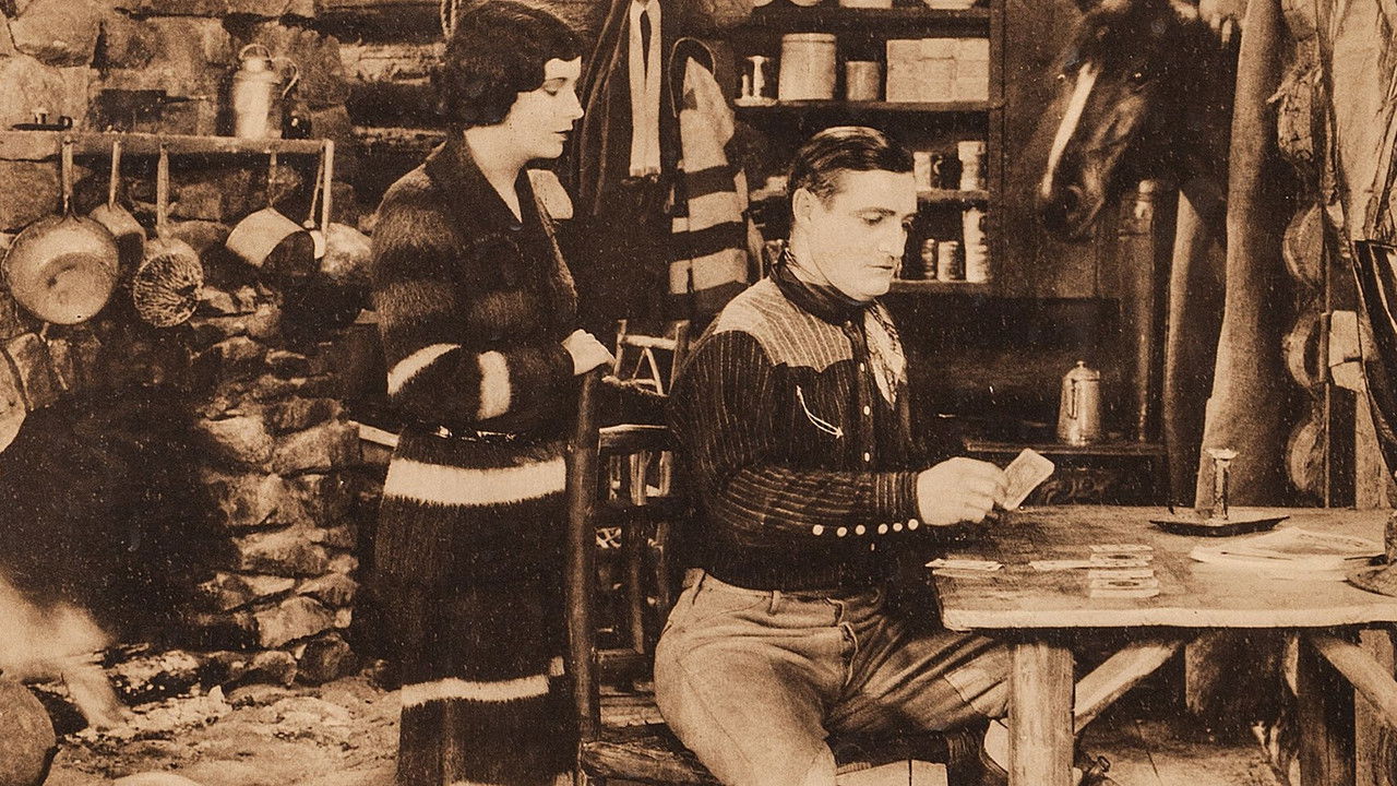 Backdrop image for movie The Trouble Shooter