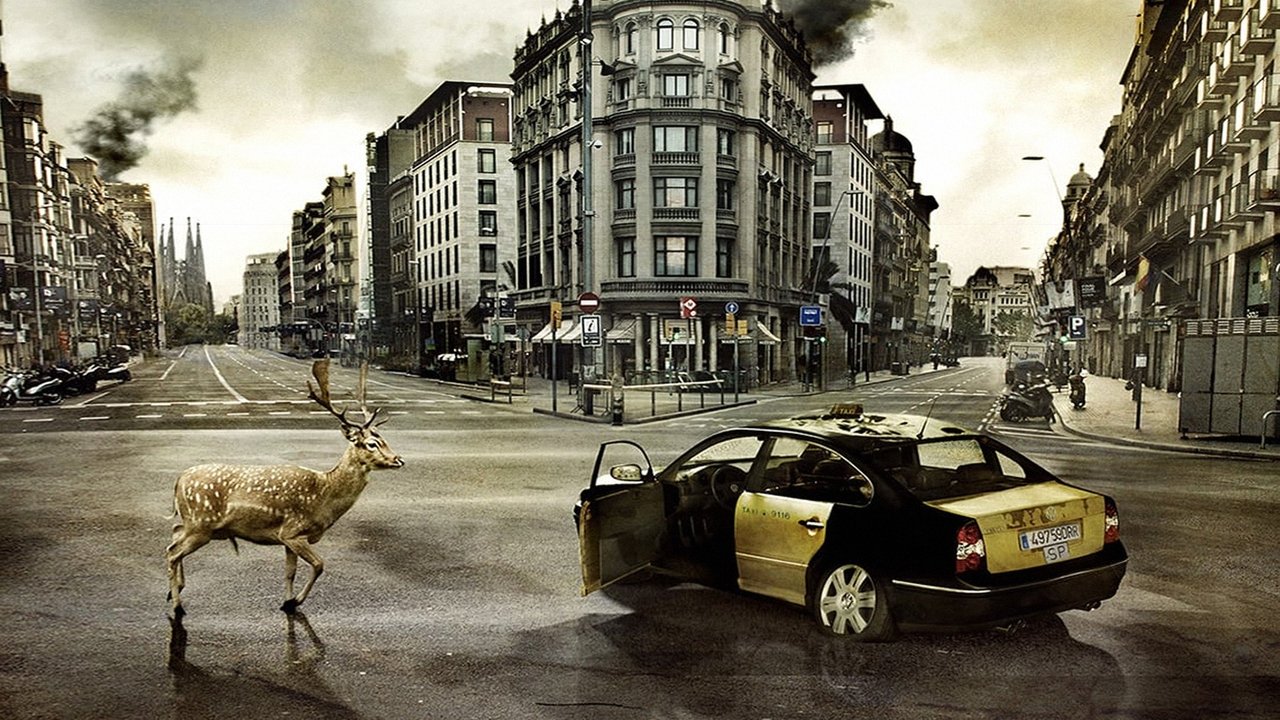 Backdrop image for movie The Last Days