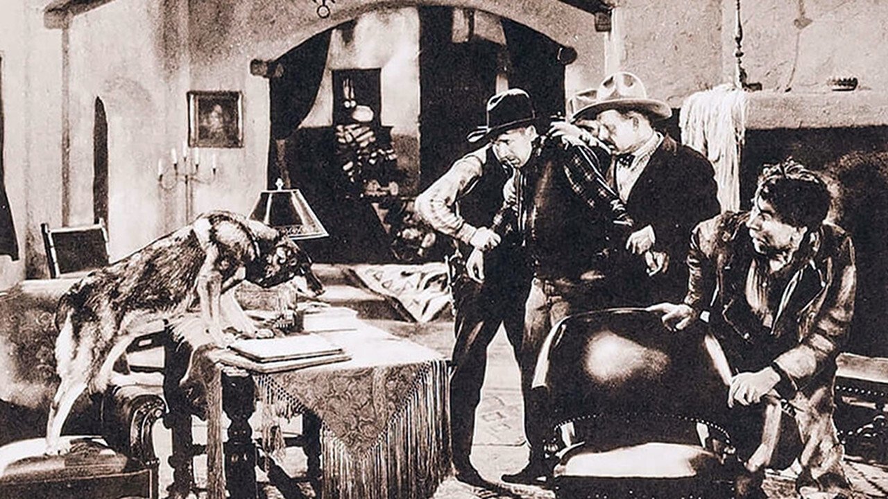 Backdrop image for movie The Lone Defender