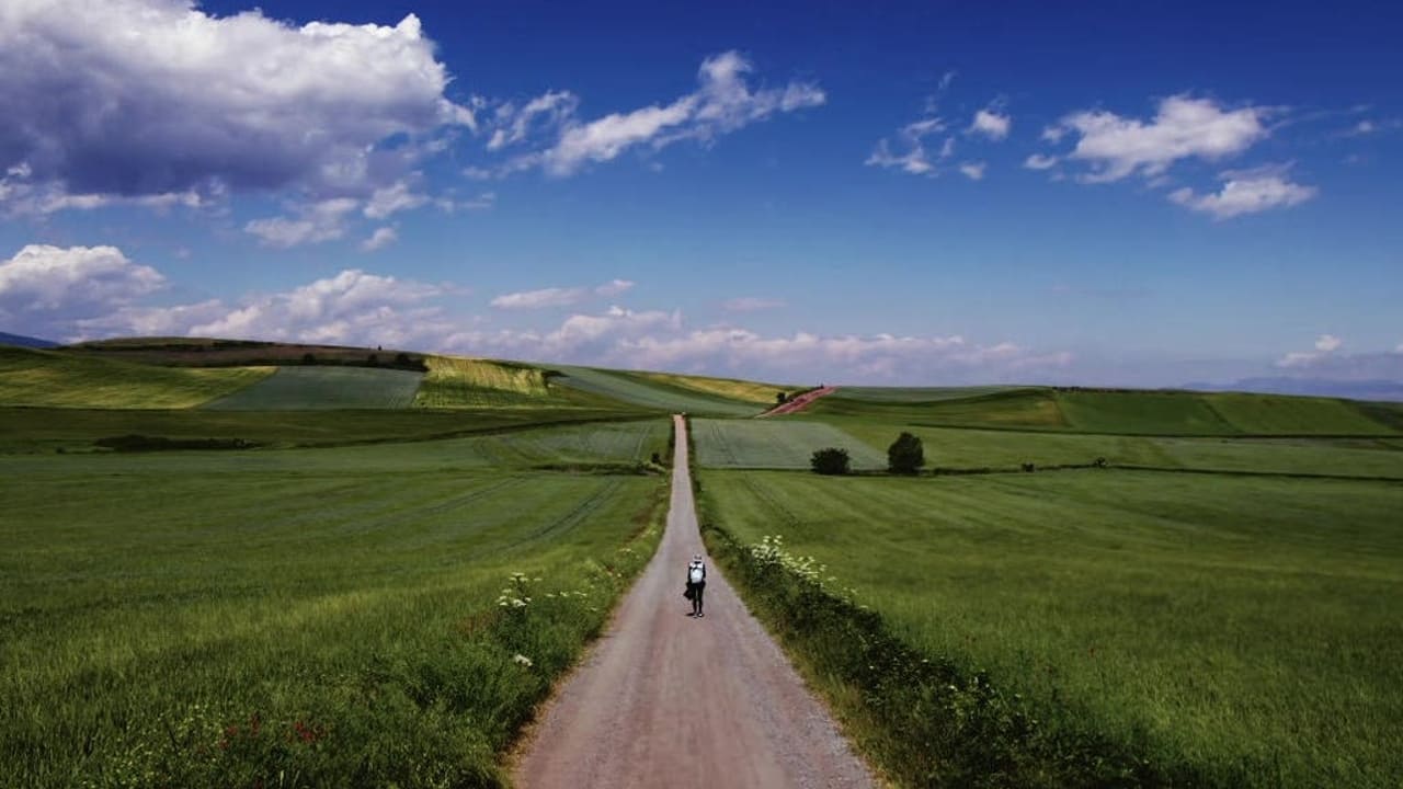 Backdrop image for movie El Camino