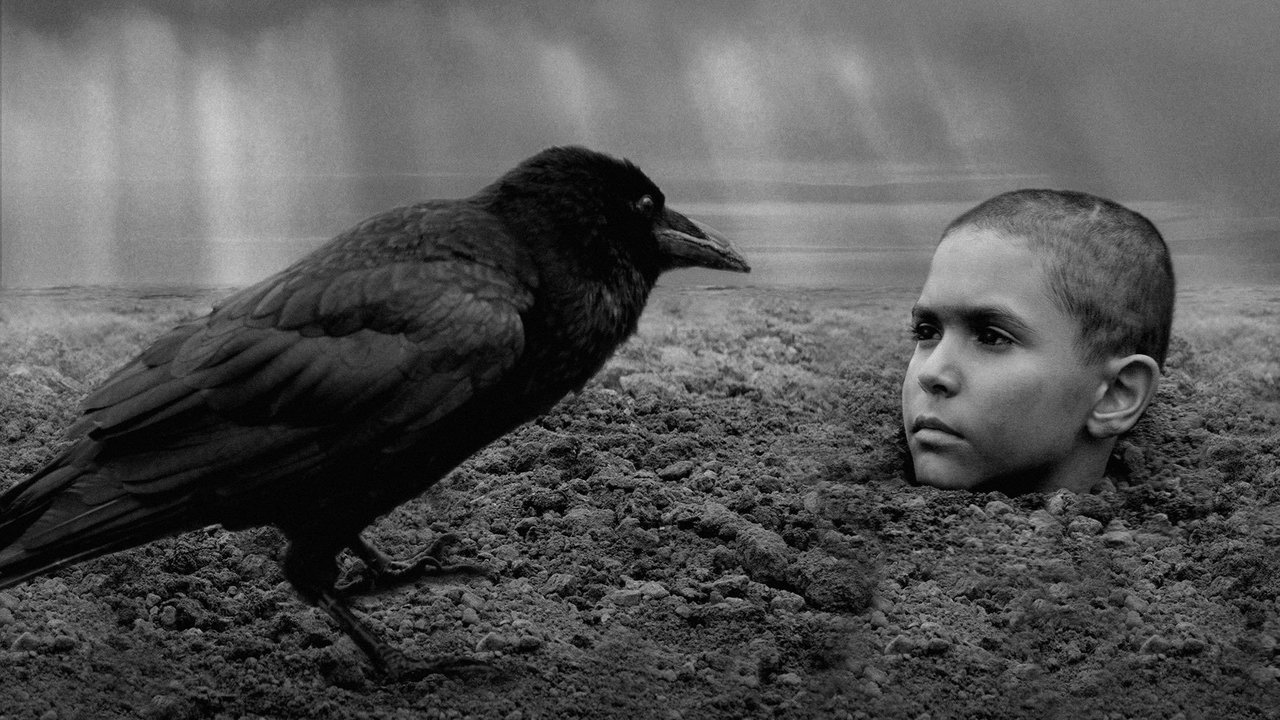 Backdrop image for movie The Painted Bird