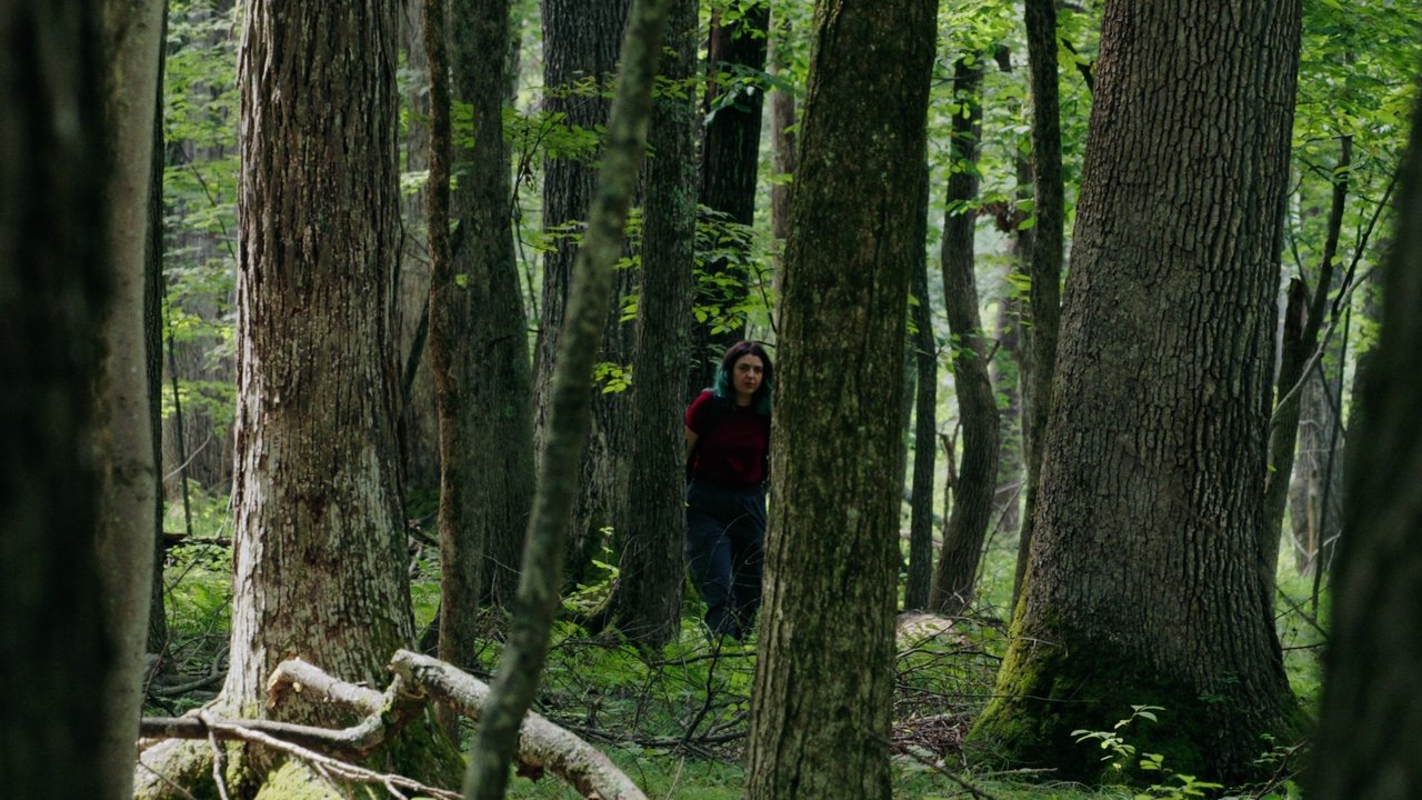 Backdrop image for movie Through The Trees