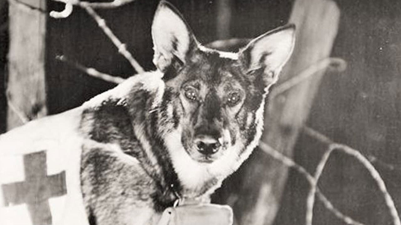 Backdrop image for movie Find Your Man