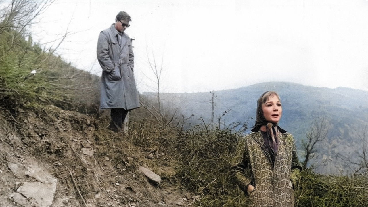 Backdrop image for movie The Stranger in Town