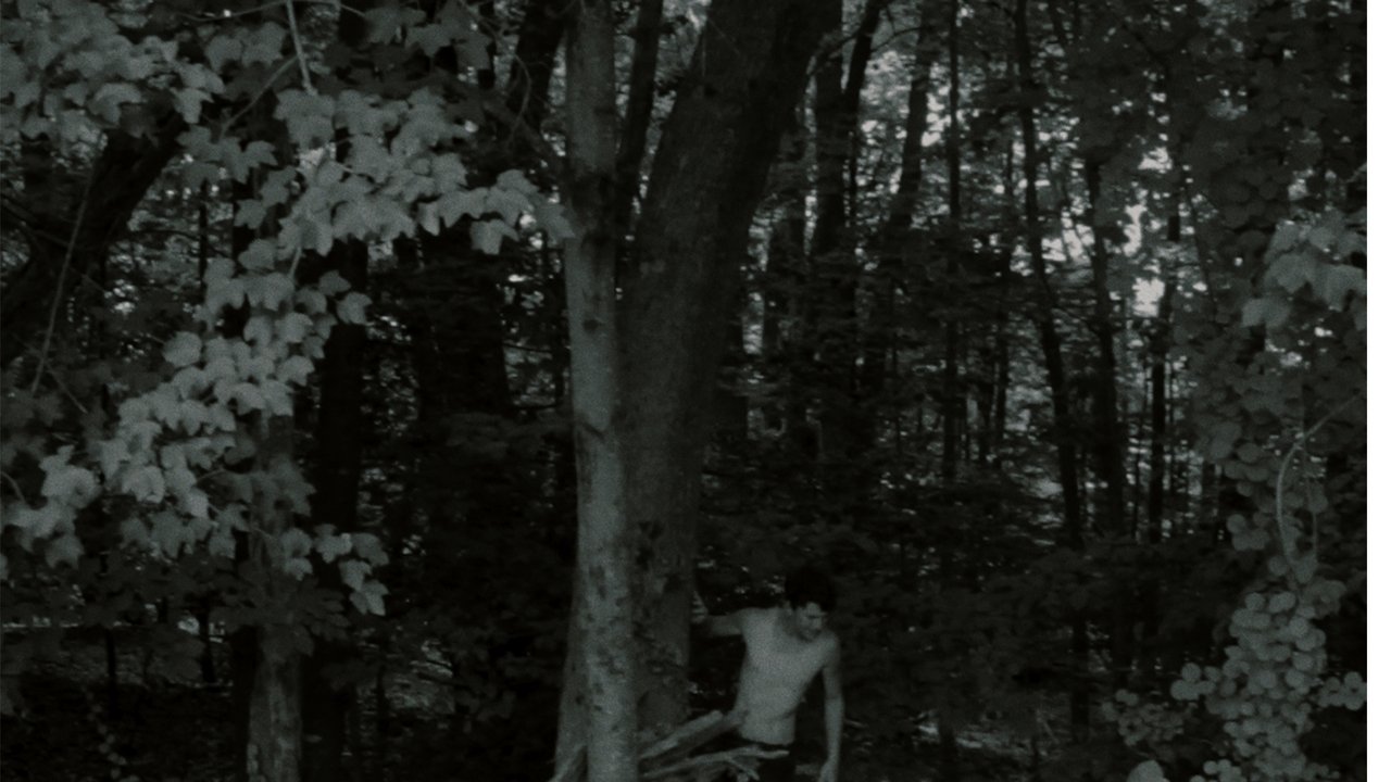 Backdrop image for movie Dream Sequence