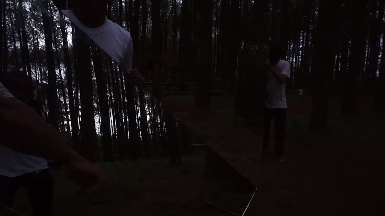 Backdrop image for movie In The Pines