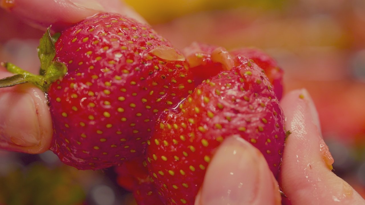 Backdrop image for movie Fruity