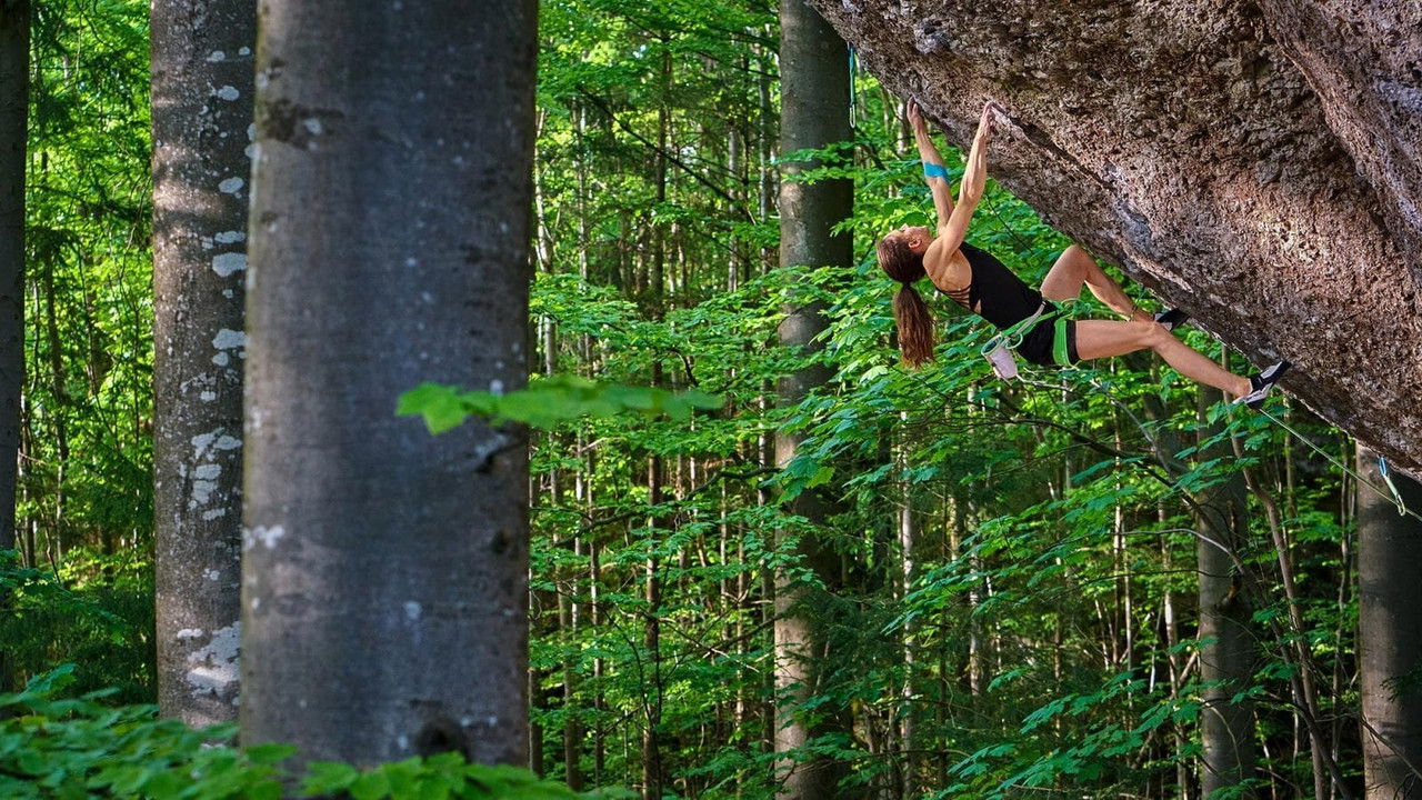 Backdrop image for movie Reel Rock 15