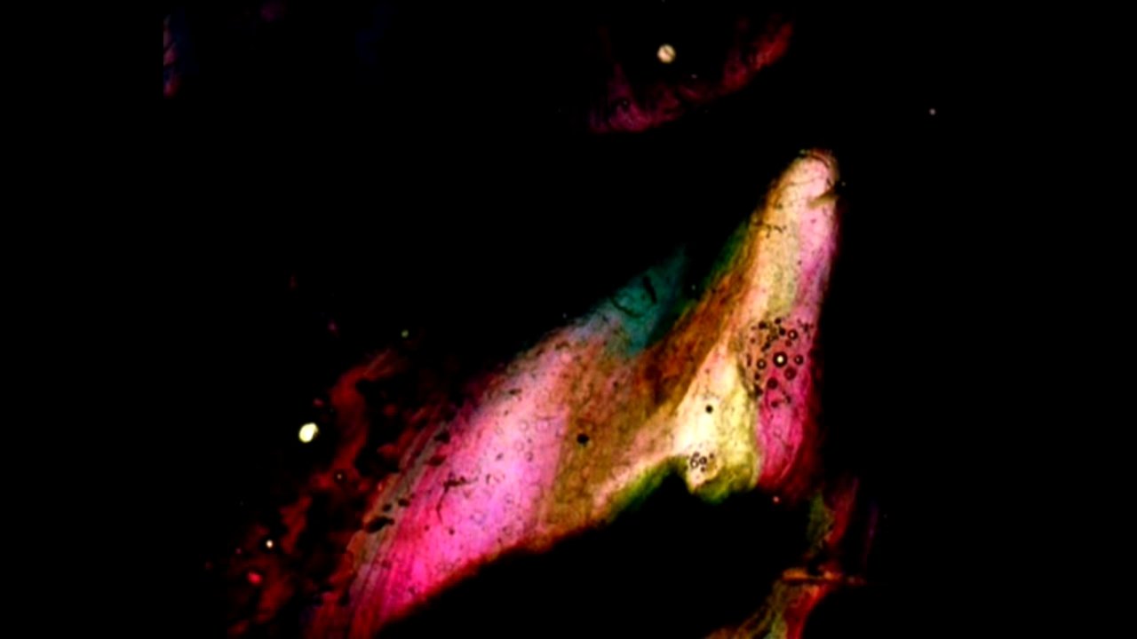 Backdrop image for movie Stellar