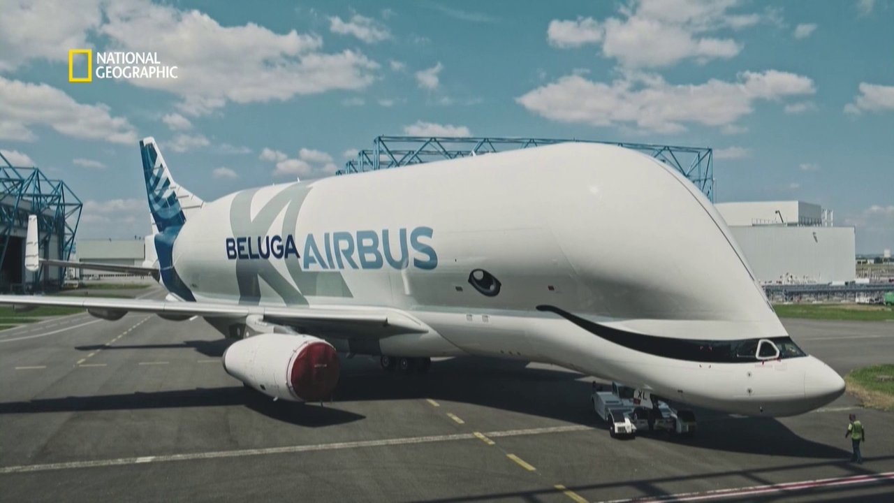 Backdrop image for movie Megastructures: Airbus Beluga XL