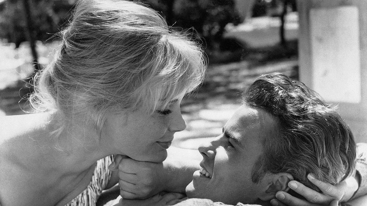 Backdrop image for movie Ship of the Dead