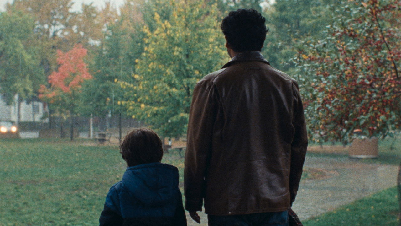 Backdrop image for movie The Coyote