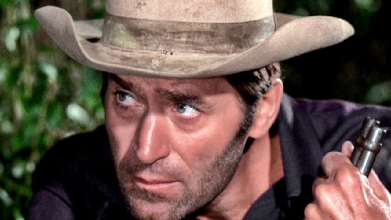 Backdrop image for movie Hardcase