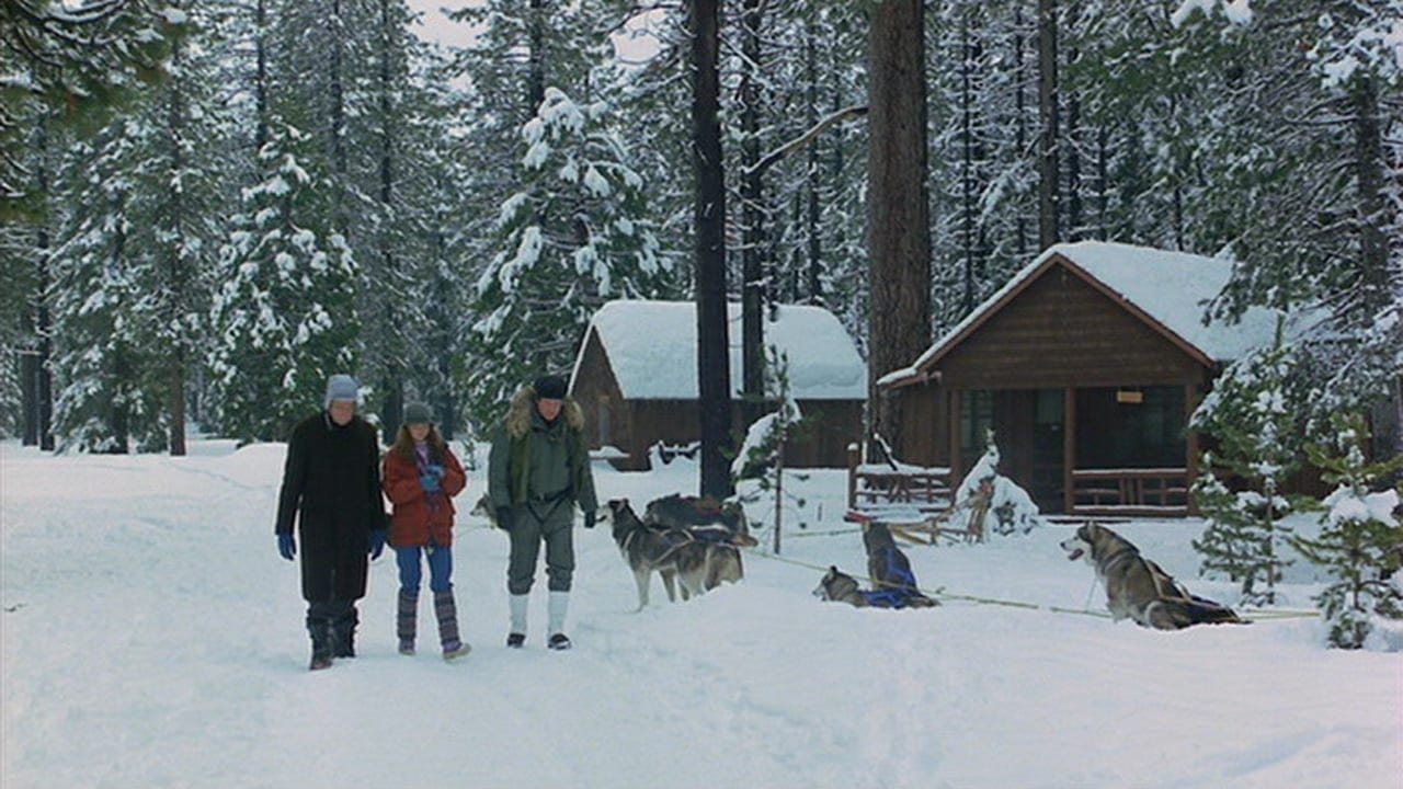 Backdrop image for movie The Survivors