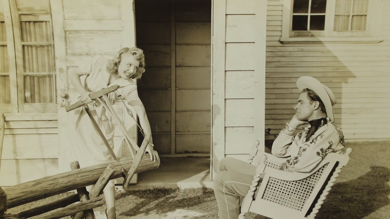 Backdrop image for movie Hoedown