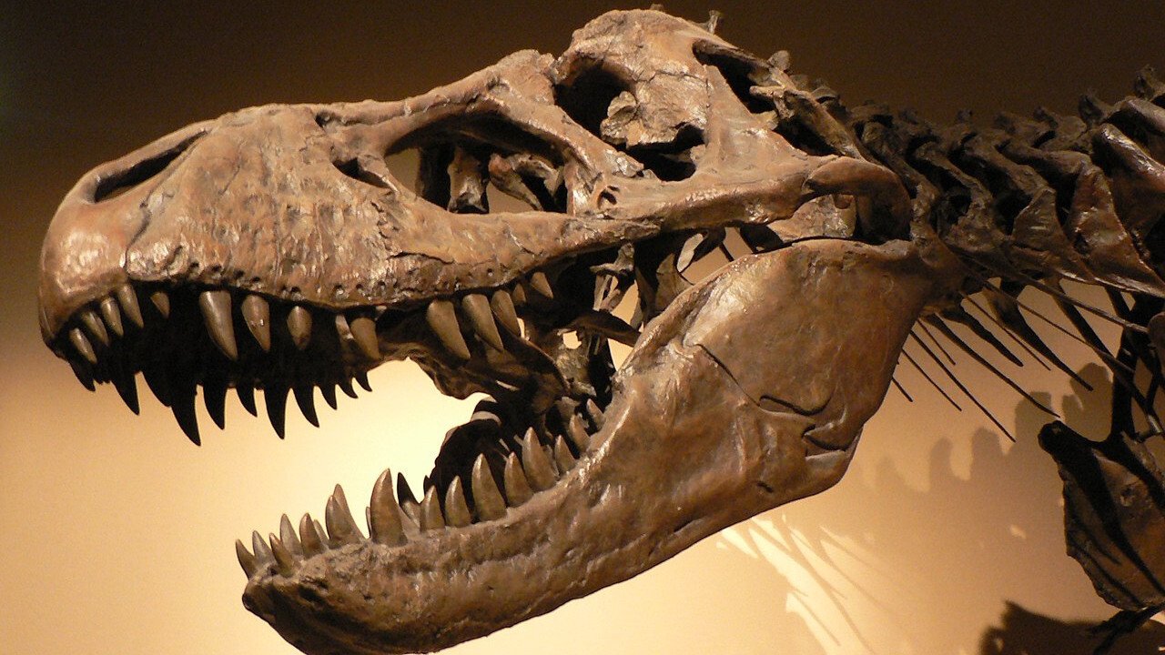 Backdrop image for movie Des-Extinción
