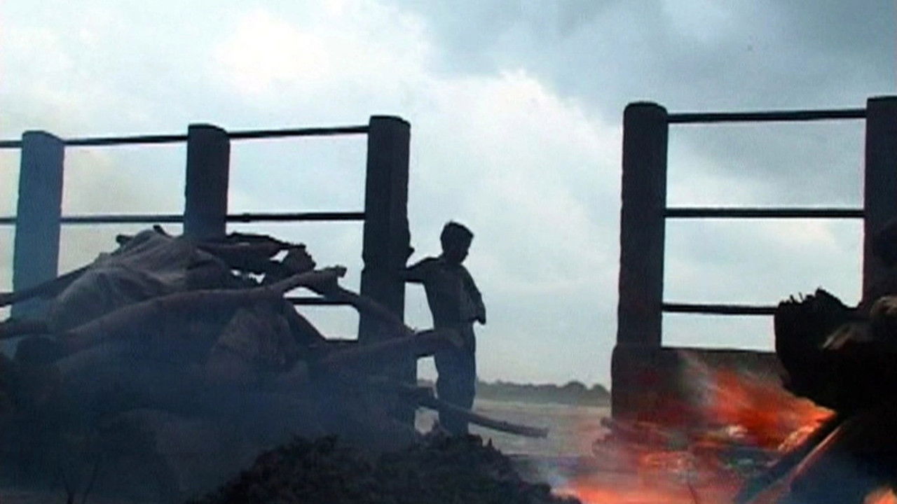 Backdrop image for movie Children of the Pyre