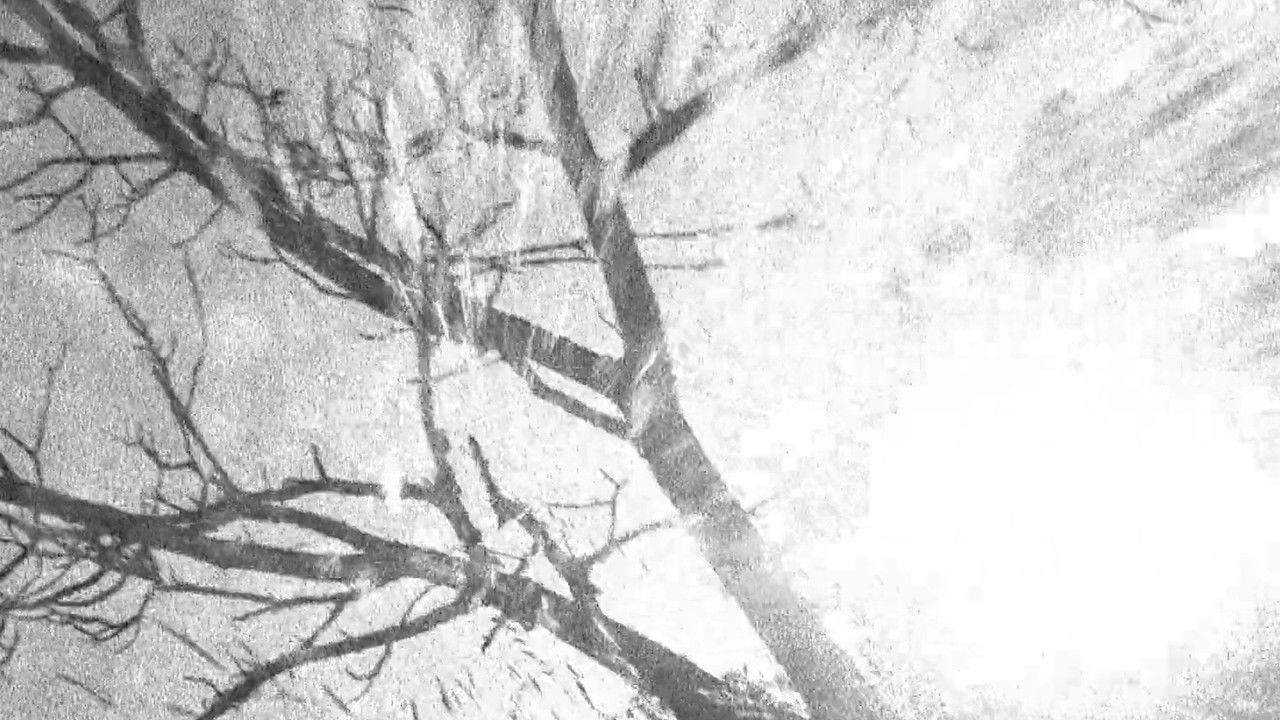 Backdrop image for movie Spectral Ascension