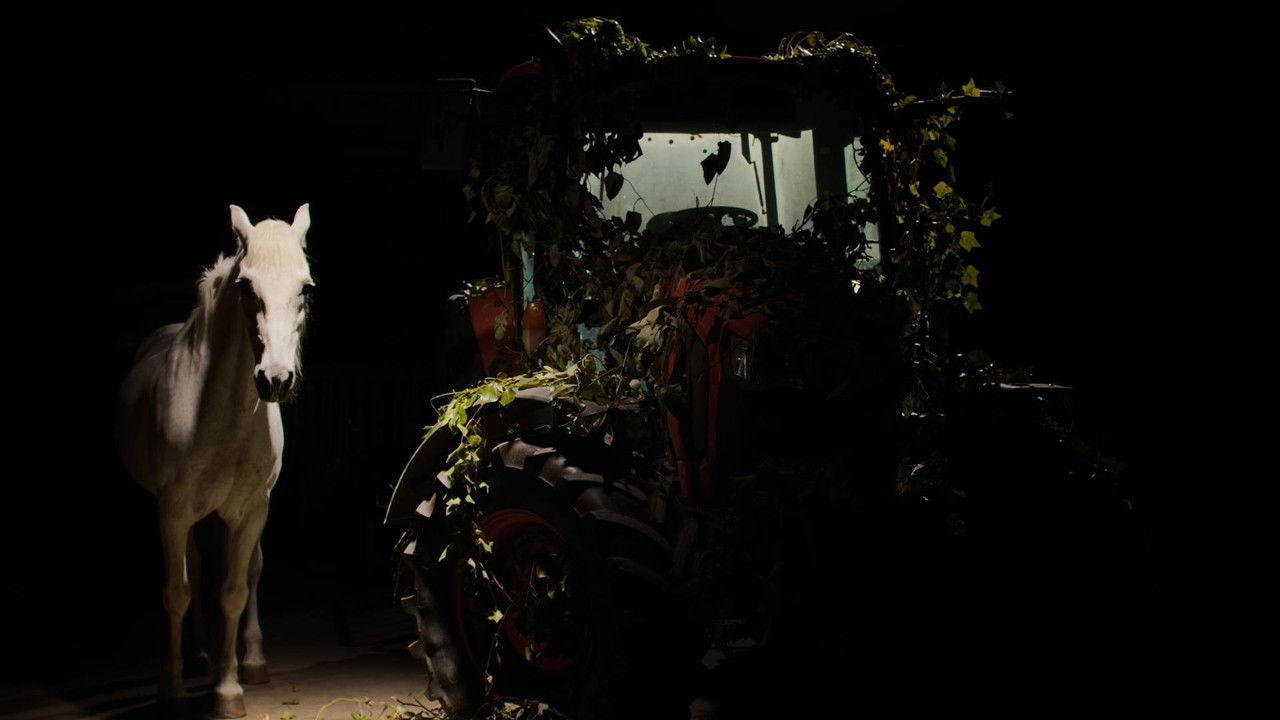 Backdrop image for movie Un perro ladra detrás del depósito