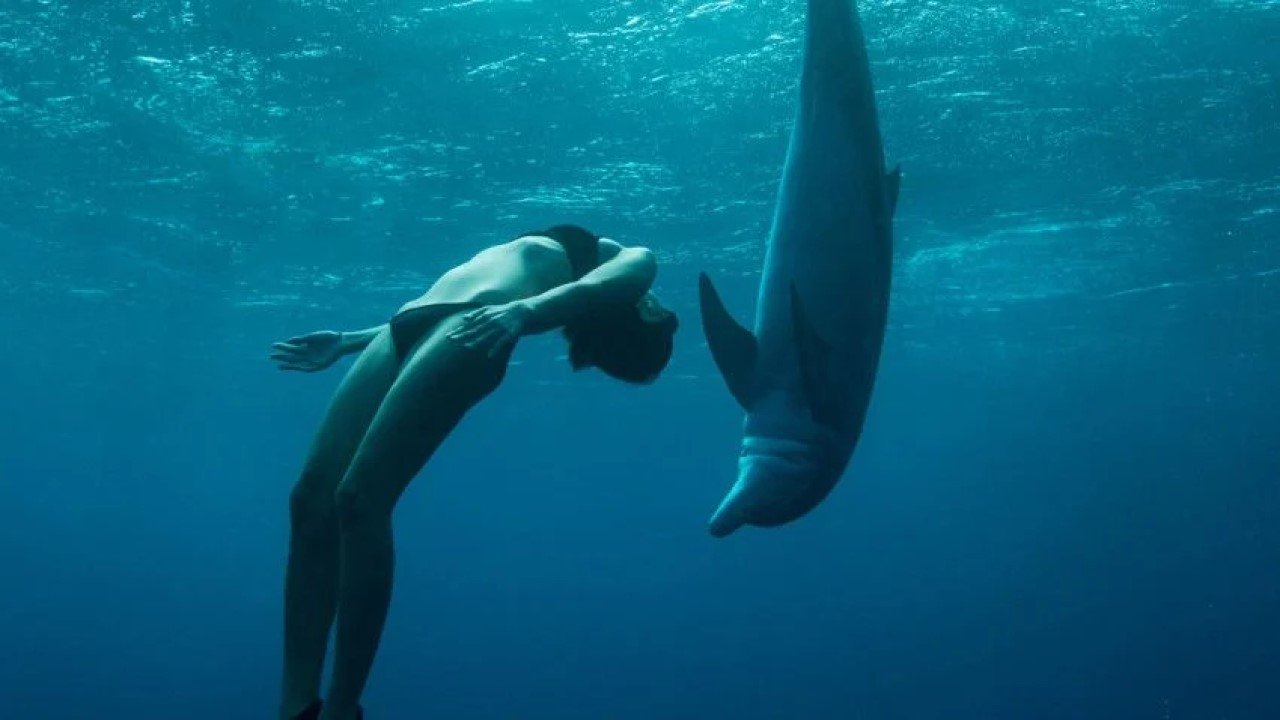 Backdrop image for movie The Journey: Mother Ocean