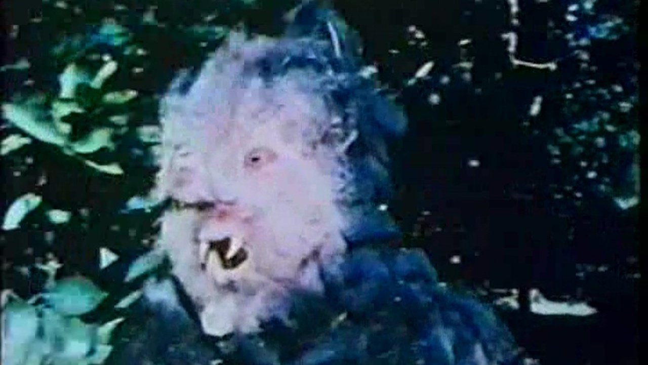 Backdrop image for movie Curse of Bigfoot