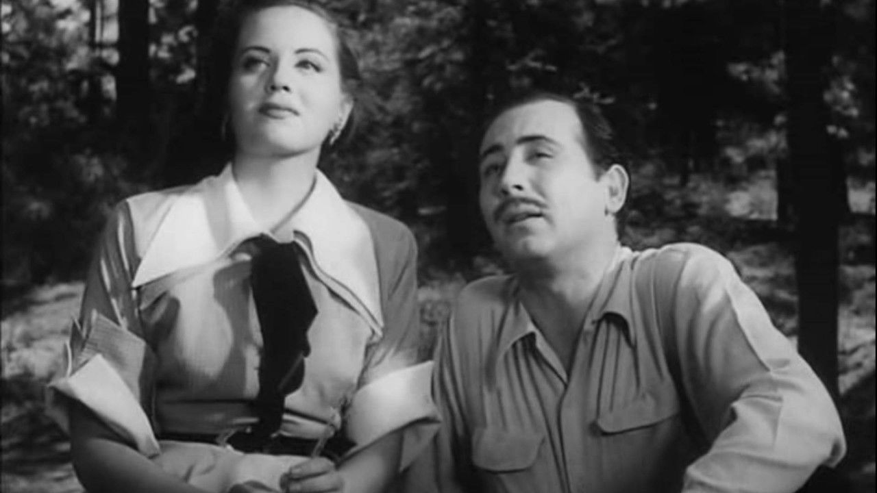 Backdrop image for movie A Woman Without Love