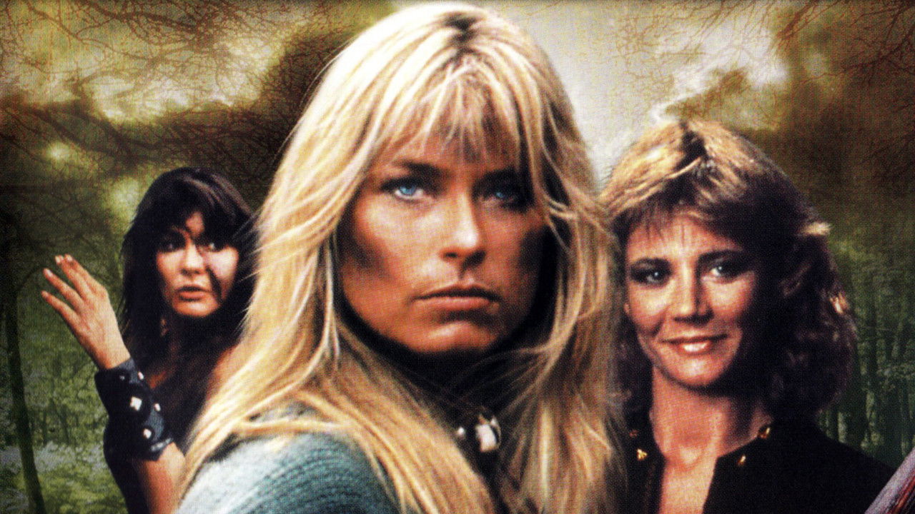 Backdrop image for movie Stormquest