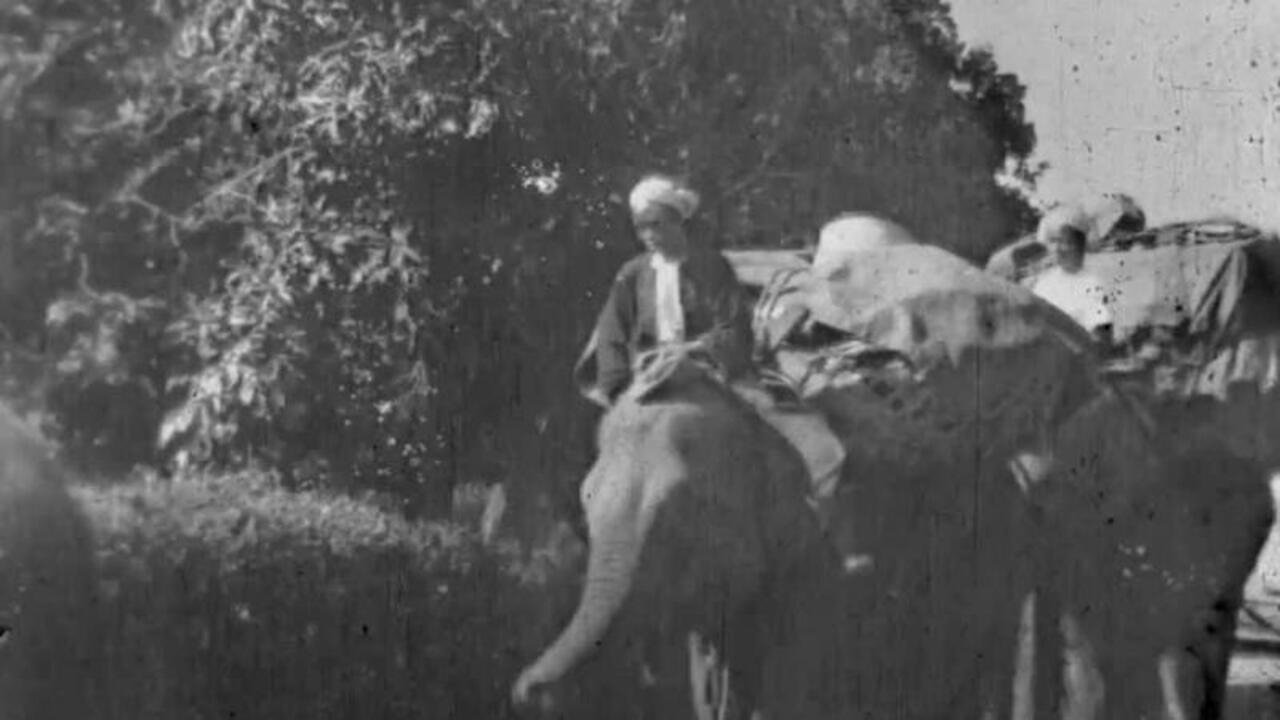Backdrop image for movie Land of the Elephants