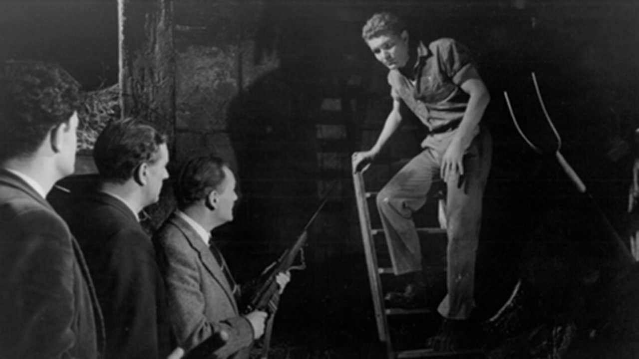 Backdrop image for movie Life in Danger