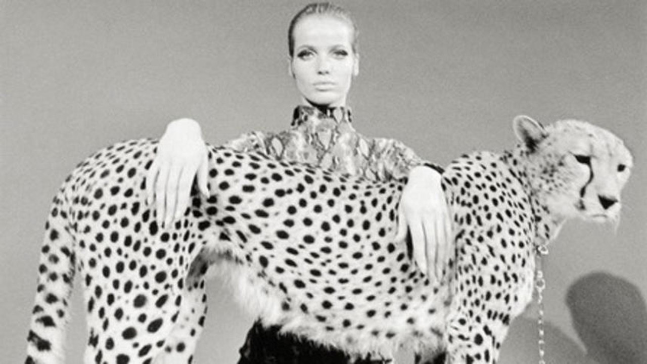 Backdrop image for movie Veruschka - Poetry of a Woman