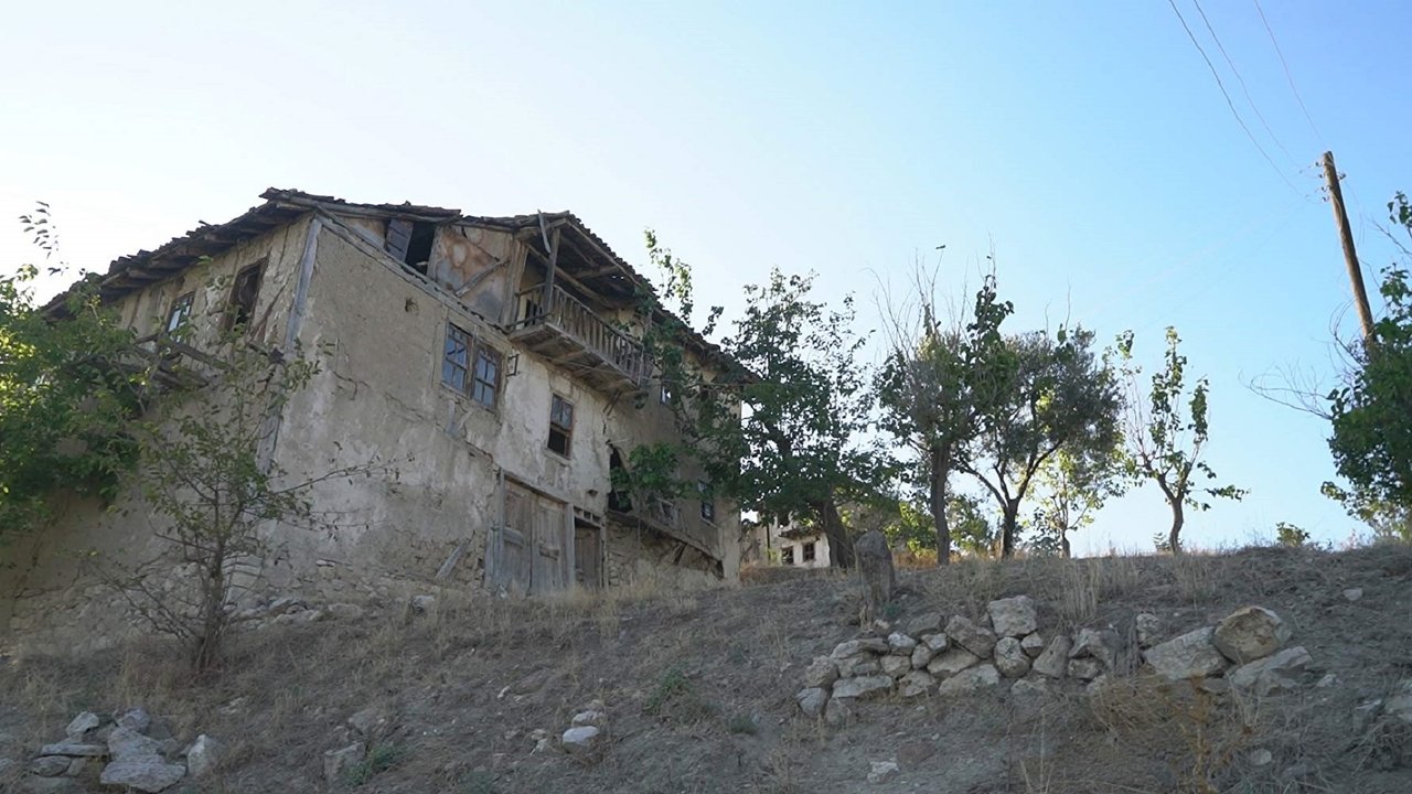 Backdrop image for movie Haunted Hill