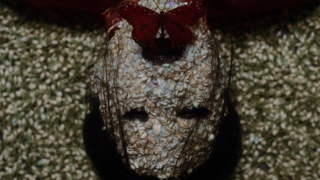 Backdrop image for movie The Butterfly House