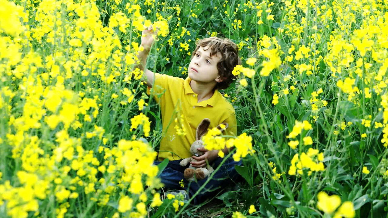 Backdrop image for movie Archie