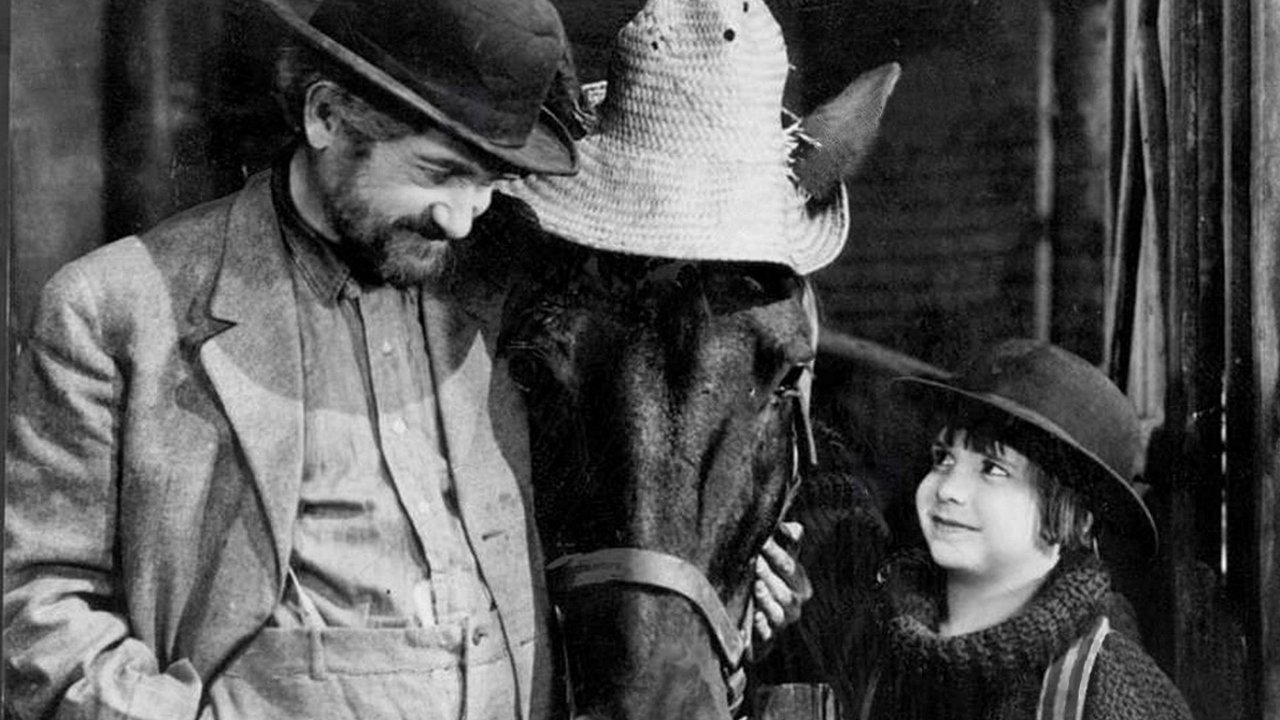 Backdrop image for movie The Rag Man