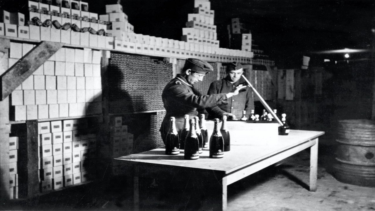 Backdrop image for movie Les raisins du Reich