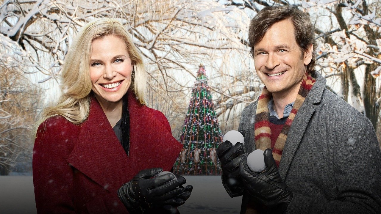Backdrop image for movie Christmas Connection