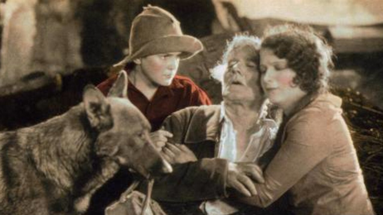 Backdrop image for movie The Call of the Heart