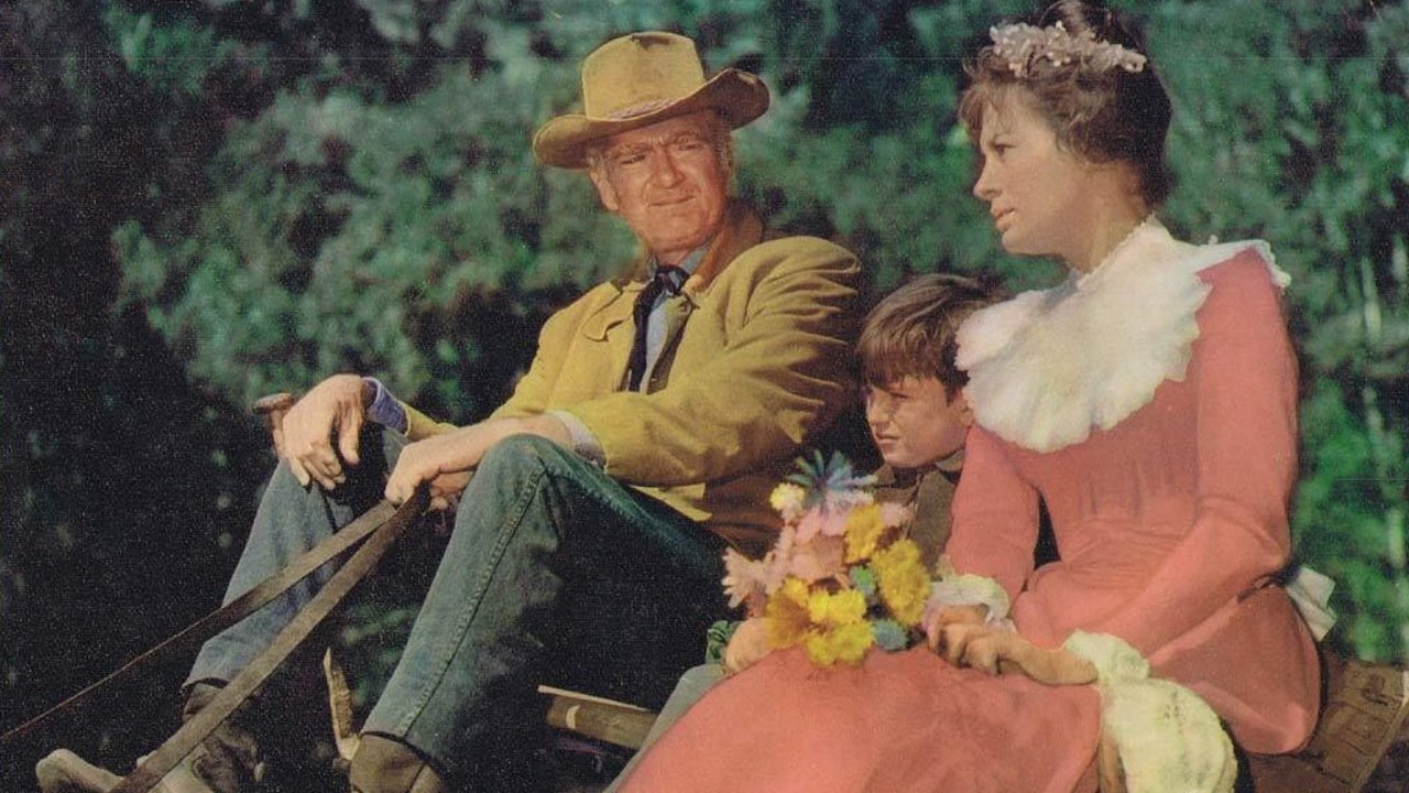 Backdrop image for movie Mail Order Bride