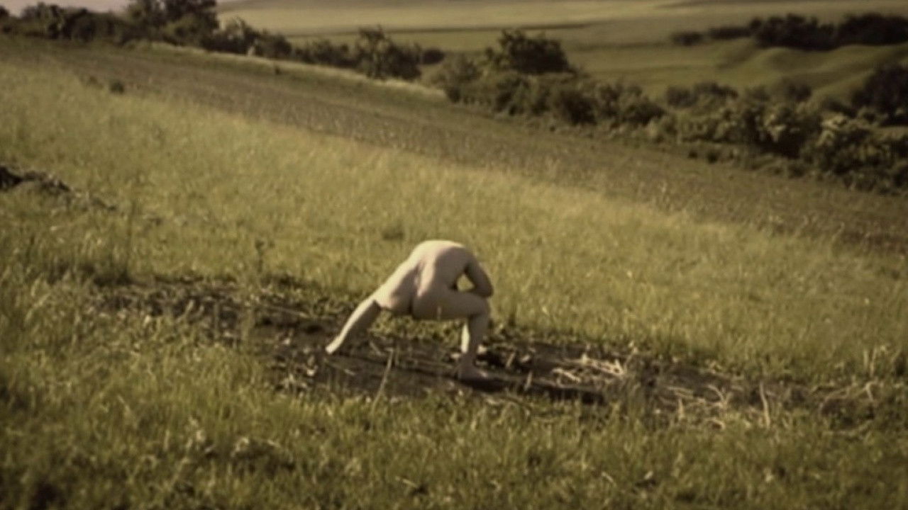 Backdrop image for movie Debris Documentar