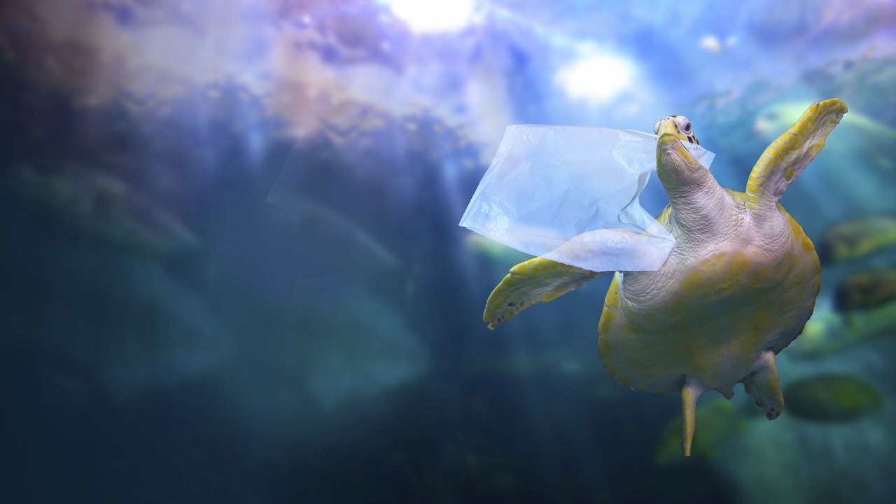 Backdrop image for movie Sea of Plastic