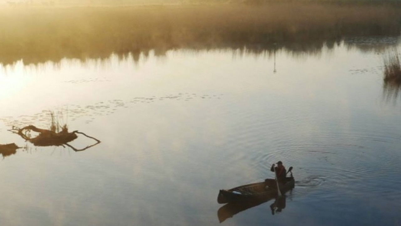 Backdrop image for movie Levende Rivier